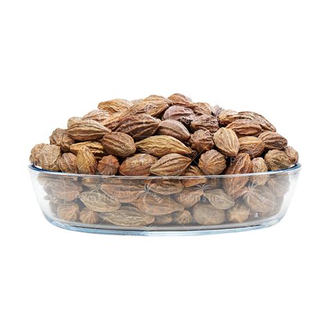 Kadukka / Haritaki – palmtreeshopping