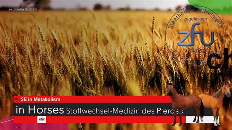 chW SE vVS veterinary Vertebral Specialist Holistic Chiropraxis for ...