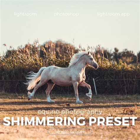 Bright Airy Horse Preset | Shimmering – Soft Luminous Lightroom Filter ...