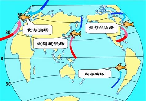 中国四大渔场位置图（四大渔场位置分布图片） - 思埠