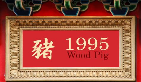 1995 Chinese Zodiac: Wood Pig Year - Personality Traits