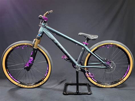 Custom Dirt Jumper
