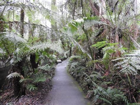 Mount Dandenong Tourism (2024): All You Need to Know Before You Go