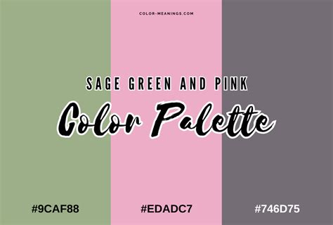 43 Colors That Go With Pink (Color Palettes) | Color Meanings