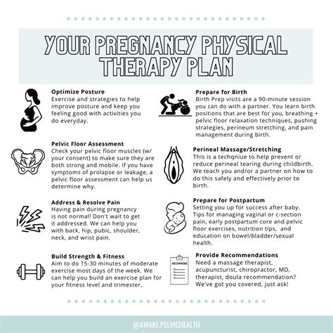 Pelvic Floor Exercises After Normal Delivery Pdf - Infoupdate.org