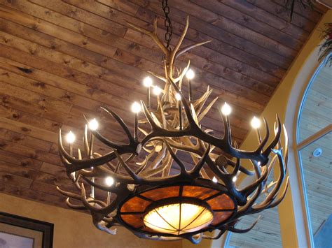 Real Deer Antler Chandelier For Sale at Melanie Angel blog