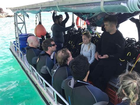 REMOTE AREA DIVE - All You SHOULD Know Before Going 2026 (with Photos ...