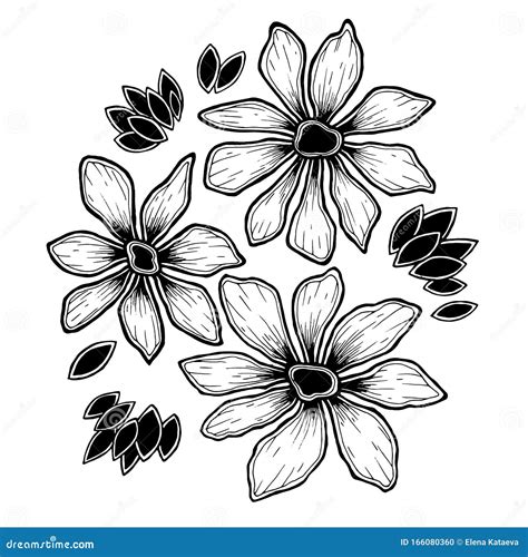 Simple Silhouettes of Daisies Black and White Set Stock Vector - Illustration of creativity ...