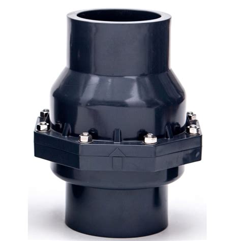 How Does a Manual PVC Check Valve Work 的图像结果