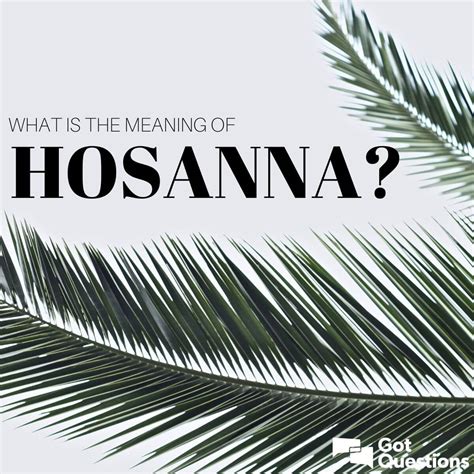 What Is The Meaning Of Hosanna In The Bible at Harold Case blog