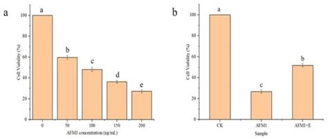 Degradation Mechanism of Aflatoxin M1 by Recombinant Catalase from ...