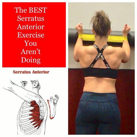 😍The Best Serratus Anterior Exercise you AREN’T doing😍 . . The serratus ...