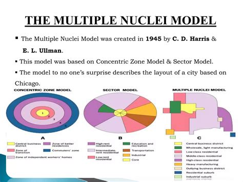 Multi Nuclei Model | PPTX