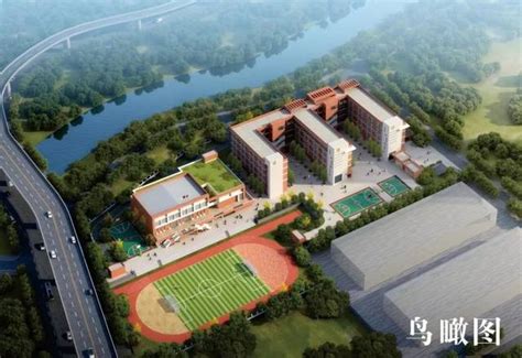 2022年汕头龙湖小学学区划分（持续更新）- 汕头本地宝