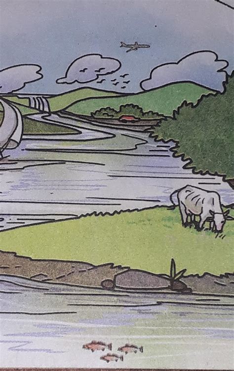1. Where do we see the birds ?2. Where is the cow grazing ?3. Locate ...