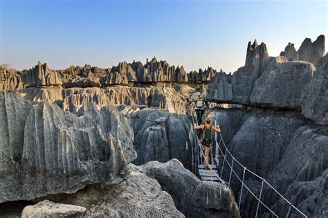 Be awed by the world’s largest stone forest in Madagascar | Times ...