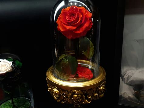 Timeless Beauty: Flowers that Never Die