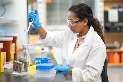 How To Become A Clinical Laboratory Technician - Sinkforce15