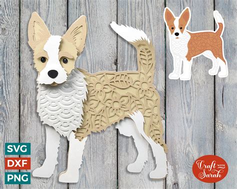 Do Portuguese Podengo Pequenos Like Cats