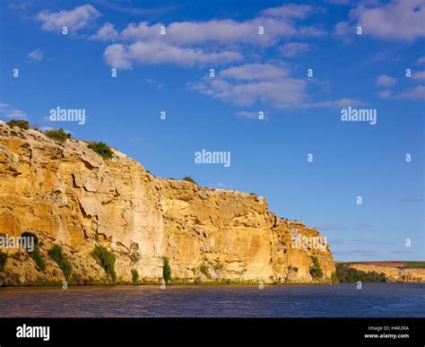 Bank of Murray River at Walker Flat on the lower reaches of the Murray ...