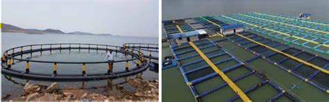 Harnessing Reservoir Fisheries