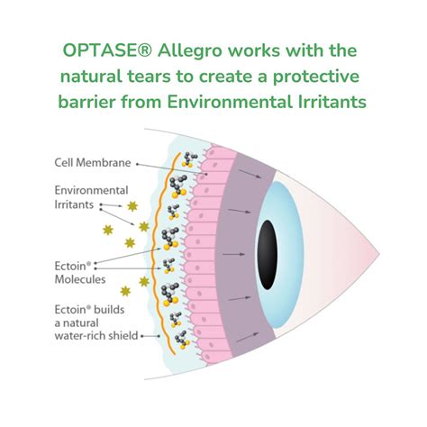 Optase Allegro Eye Drops for Allergy Dry Eye Relief 10mL