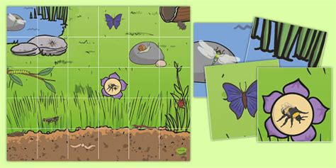 Minibeasts Mat | Bee-Bot Activities for EYLF | Twinkl