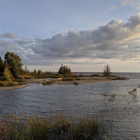 Kite 的图像结果