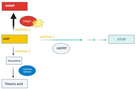 Profound Hypoglycemia and High Anion Gap Metabolic Acidosis in a ...