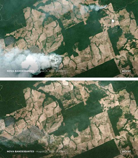 Amazon fires: Land is probably being cleared for cattle pasture, show ...