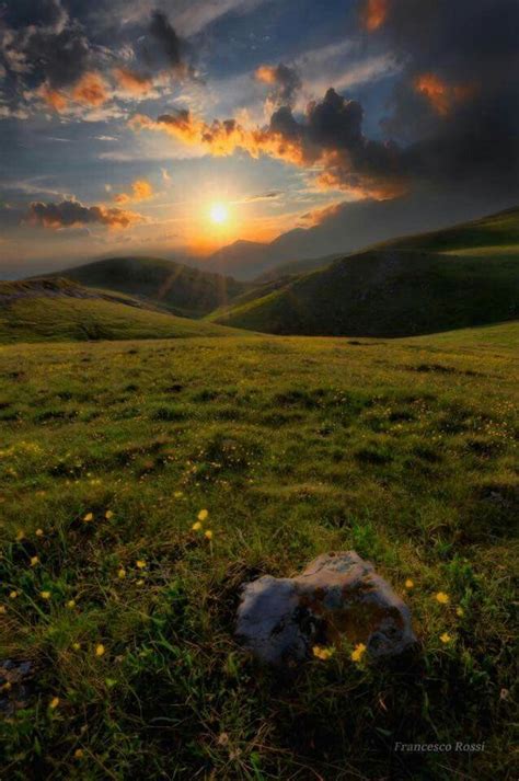 Nature Field 的图像结果