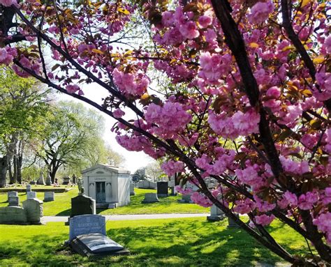 St. Michael's Cemetery - Home - St. Michael's Cemetery