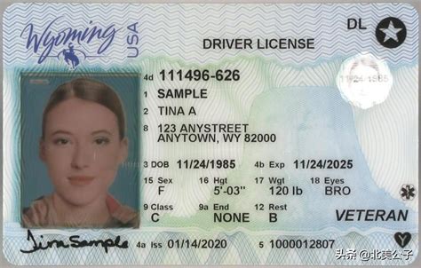 美国驾照图片全集（美国各个州驾驶证样本图片大全） - 拼客号