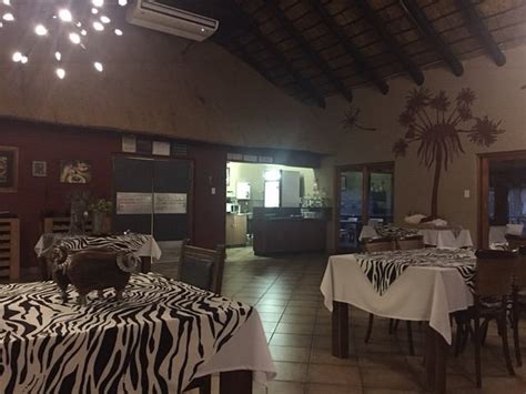 Ukutula Lodge & Game Reserve Pool: Pictures & Reviews - Tripadvisor