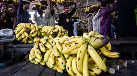 Are bananas really ‘radioactive'? An expert clears up common ...