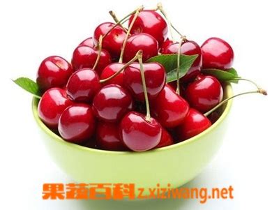 吃樱桃的好处有哪些 吃樱桃有什么好处_樱桃_做法,功效与作用,营养价值z.xiziwang.net