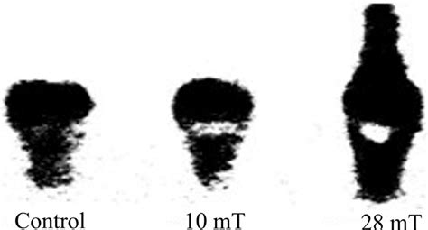 Image result for Image Processing Threshold