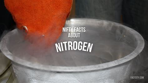 10 Nifty Facts About Nitrogen - Fact City
