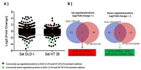 A Proteomic Investigation to Discover Candidate Proteins Involved in ...
