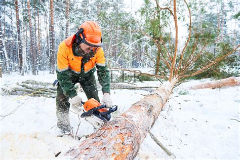 砍伐树木的工人高清图片下载-正版图片502073755-摄图网
