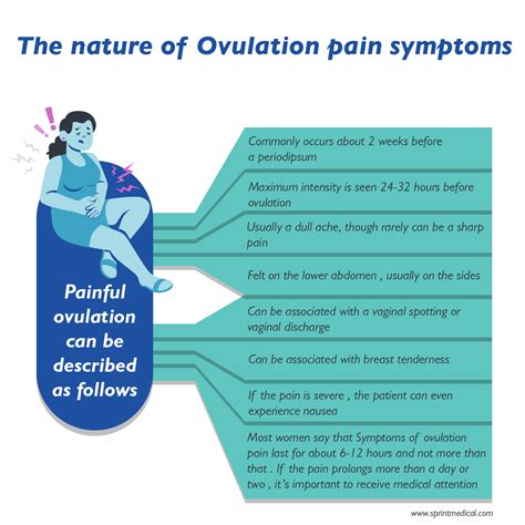 Cramps In Stomach After Ovulation at Ronald Pepper blog