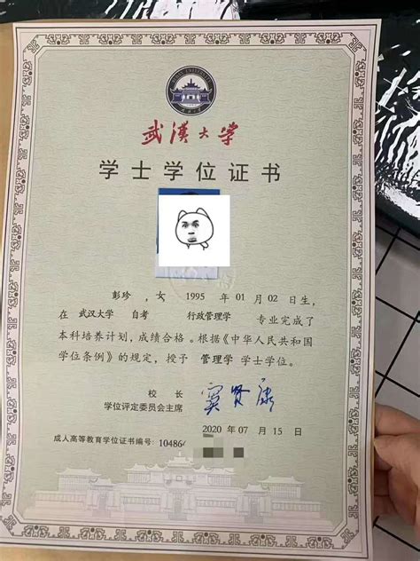 自考学位证书样本-上海自考网