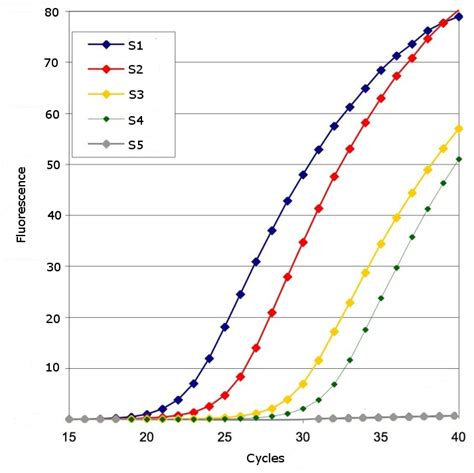 qPCR Method 的图像结果
