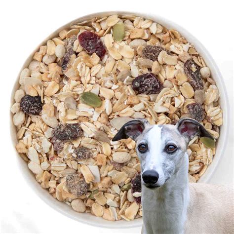 Can Dogs Eat Muesli? What You Need To Know