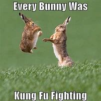 Image result for The Pioneer Woman Easter Bunny Jokes