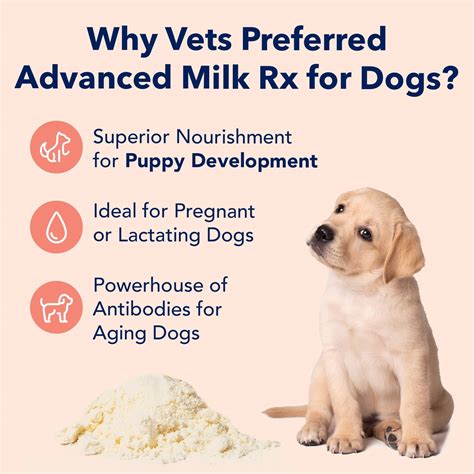 What Is Puppy Replacement Milk