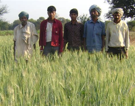 Barmecide Feast – The Problems in Production and Sale of the Produce of ...