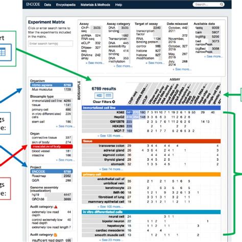 Image result for Data Matrix Encoding