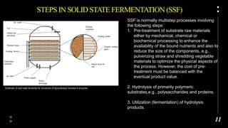 Semi Solid State Fermentation 的图像结果