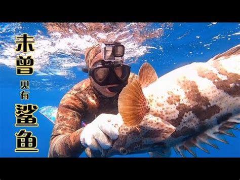 20米大深度潜水打鱼，大鱼连环被拉出水面，现实的人鱼大战【探海老表】 - YouTube
